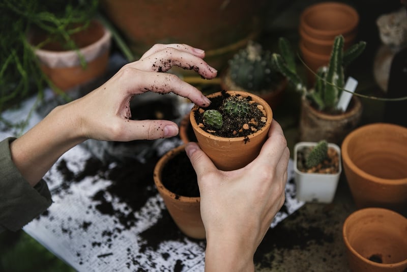 Balcony Gardening