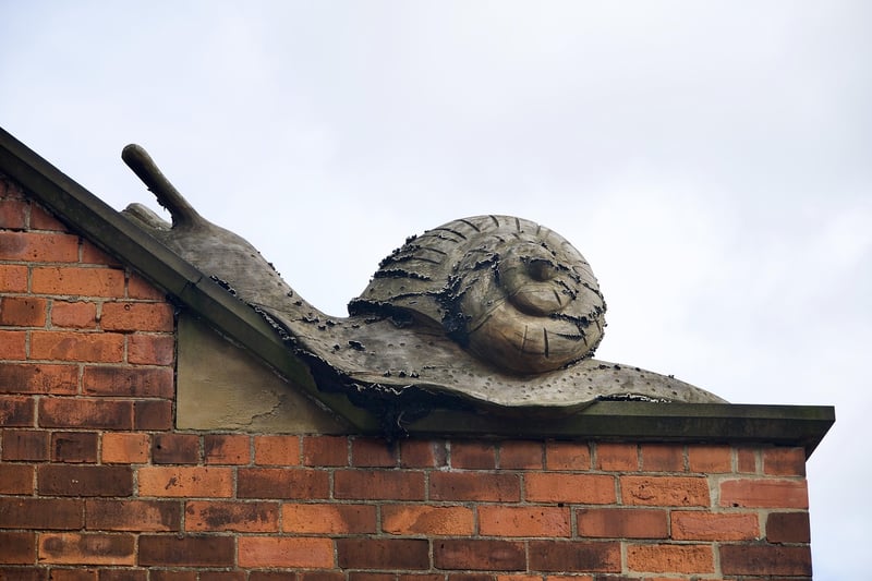 Snails and Slugs